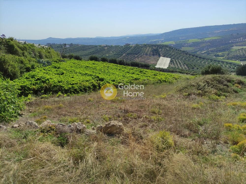 Οικόπεδο στην Βασιλείες, Αρχάνες — Φωτογραφία 3 από 4