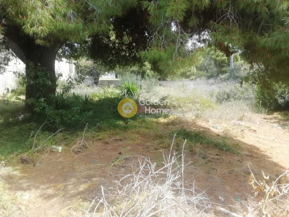 Οικόπεδο στην Κέντρο, Αρτέμιδα (Λούτσα) — Φωτογραφία 5 από 9