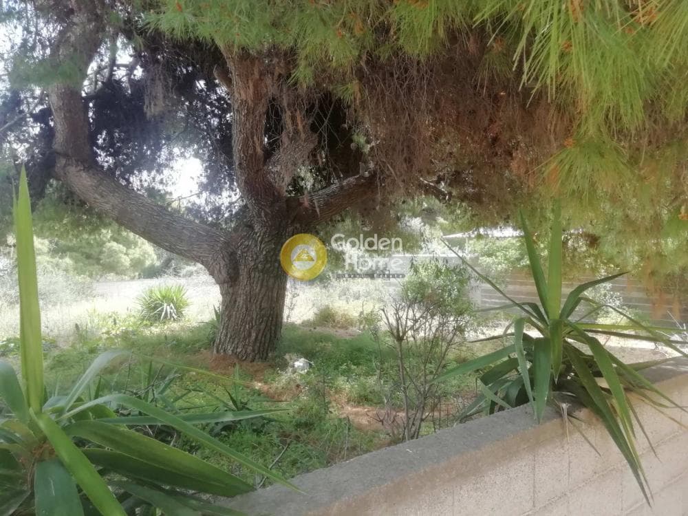 Οικόπεδο στην Κέντρο, Αρτέμιδα (Λούτσα) — Φωτογραφία 1 από 9