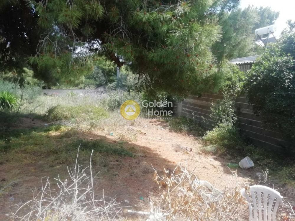 Οικόπεδο στην Κέντρο, Αρτέμιδα (Λούτσα) — Φωτογραφία 6 από 9