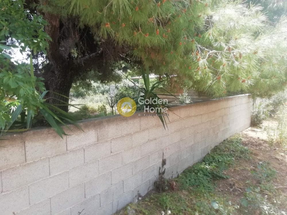 Οικόπεδο στην Κέντρο, Αρτέμιδα (Λούτσα) — Φωτογραφία 4 από 9