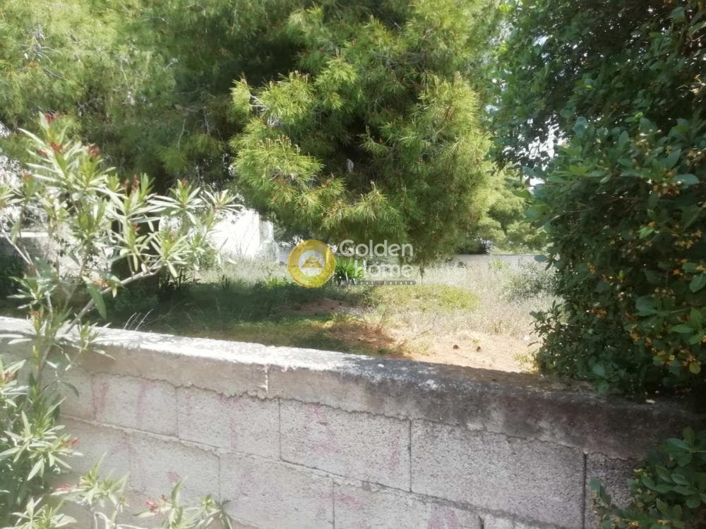 Οικόπεδο στην Κέντρο, Αρτέμιδα (Λούτσα) — Φωτογραφία 8 από 9