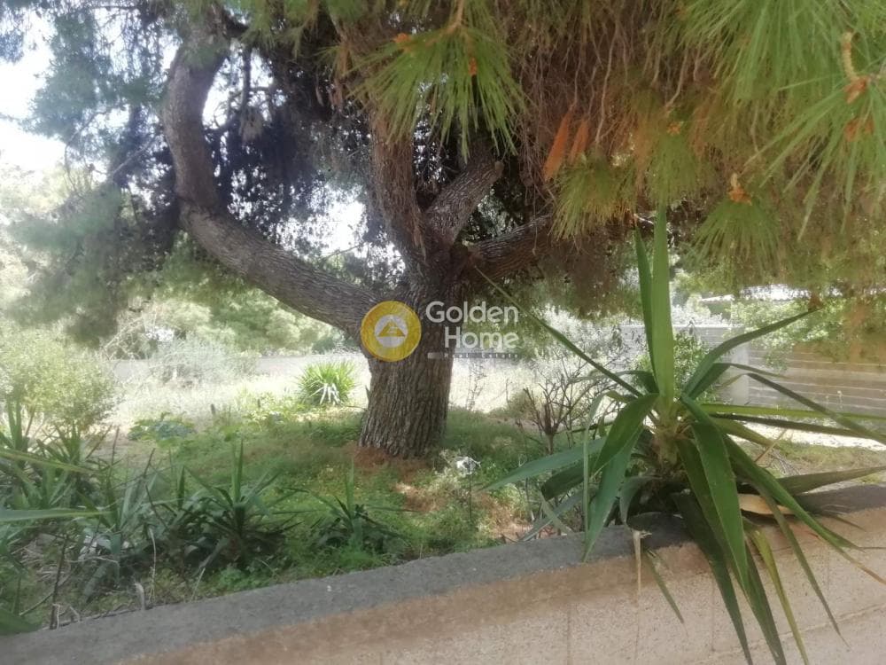 Οικόπεδο στην Κέντρο, Αρτέμιδα (Λούτσα) — Φωτογραφία 9 από 9