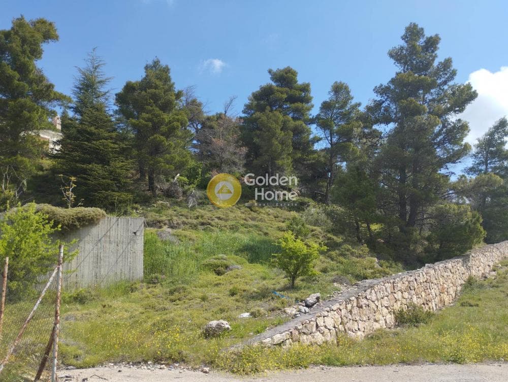 Οικόπεδο στην Αγία Τριάδα, Αφίδνες — Φωτογραφία 5 από 5