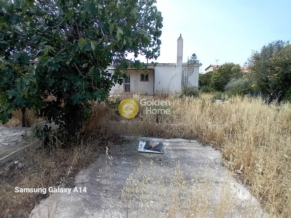 Building Plot in Kalivia, Kalivia Thorikou — Photo 3 of 17