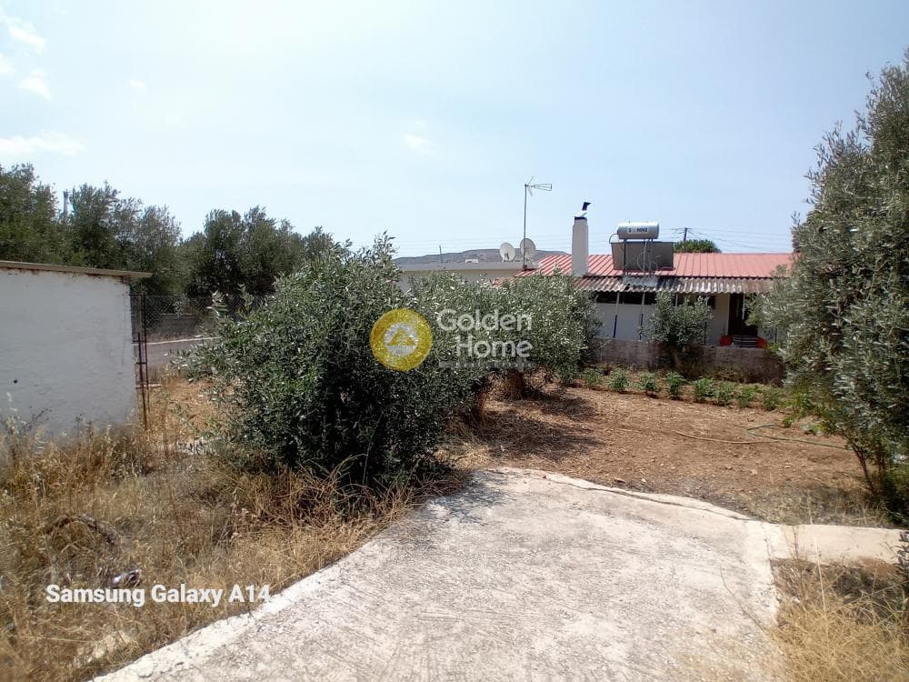 Building Plot in Kalivia, Kalivia Thorikou — Photo 6 of 17
