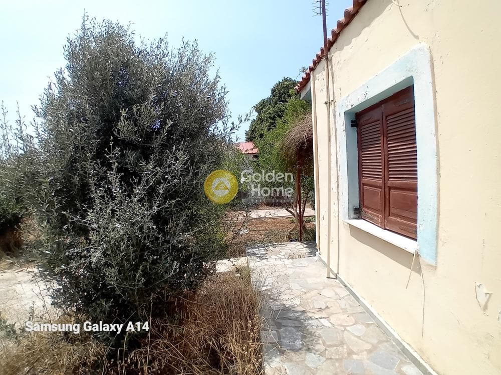 Building Plot in Kalivia, Kalivia Thorikou — Photo 7 of 17