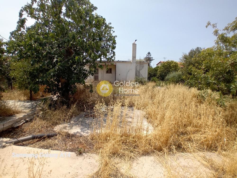 Building Plot in Kalivia, Kalivia Thorikou — Photo 10 of 17