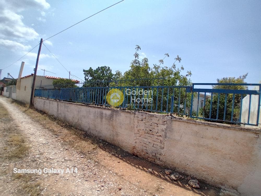 Building Plot in Kalivia, Kalivia Thorikou — Photo 11 of 17