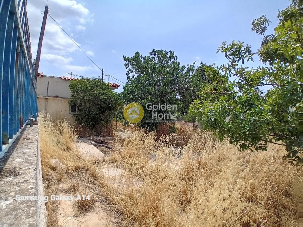 Building Plot in Kalivia, Kalivia Thorikou — Photo 12 of 17