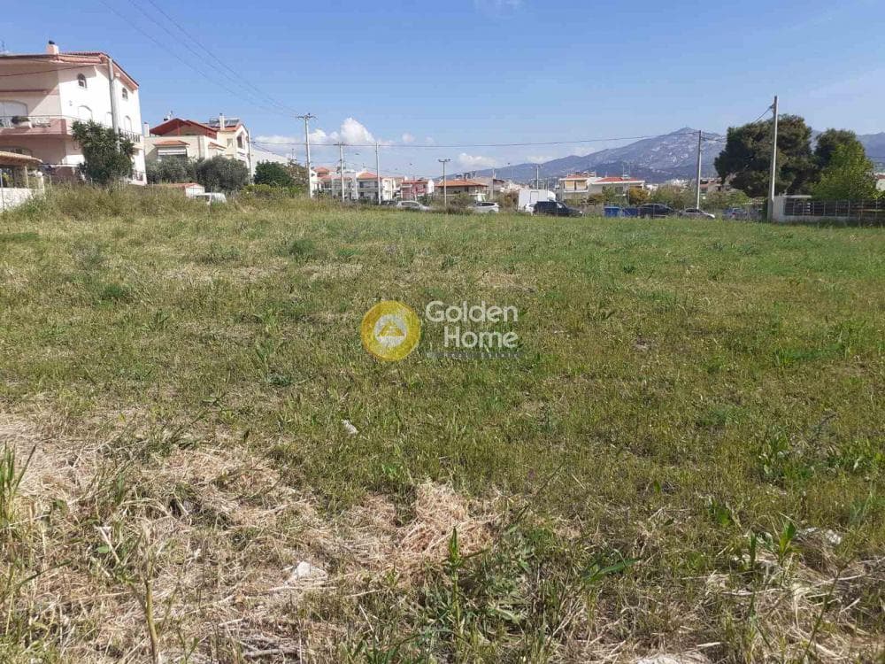 Οικόπεδο στην Φούρεσι, Γλυκά Νερά — Φωτογραφία 5 από 5