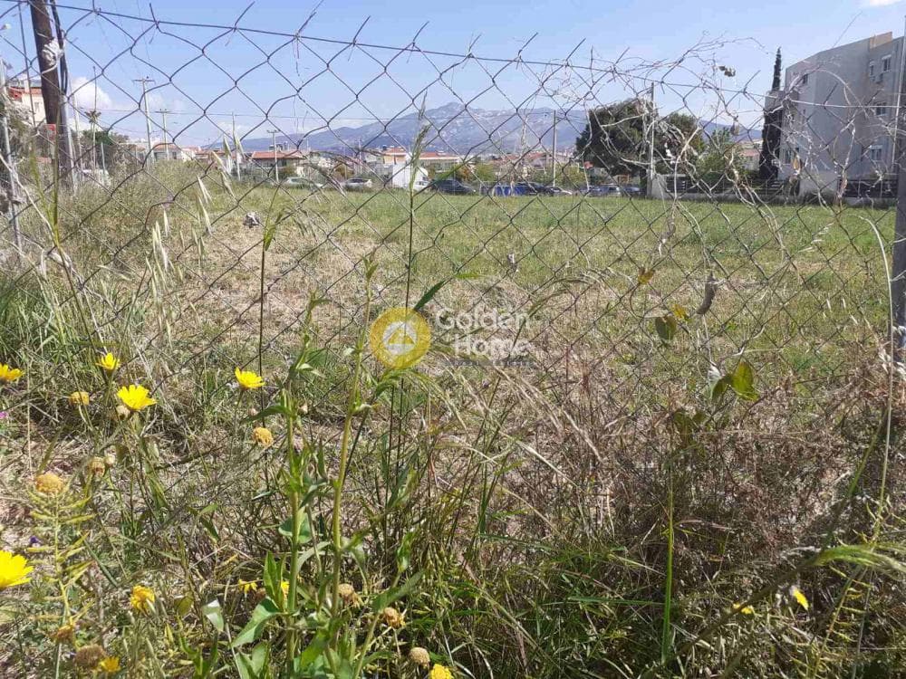 Οικόπεδο στην Φούρεσι, Γλυκά Νερά — Φωτογραφία 2 από 5