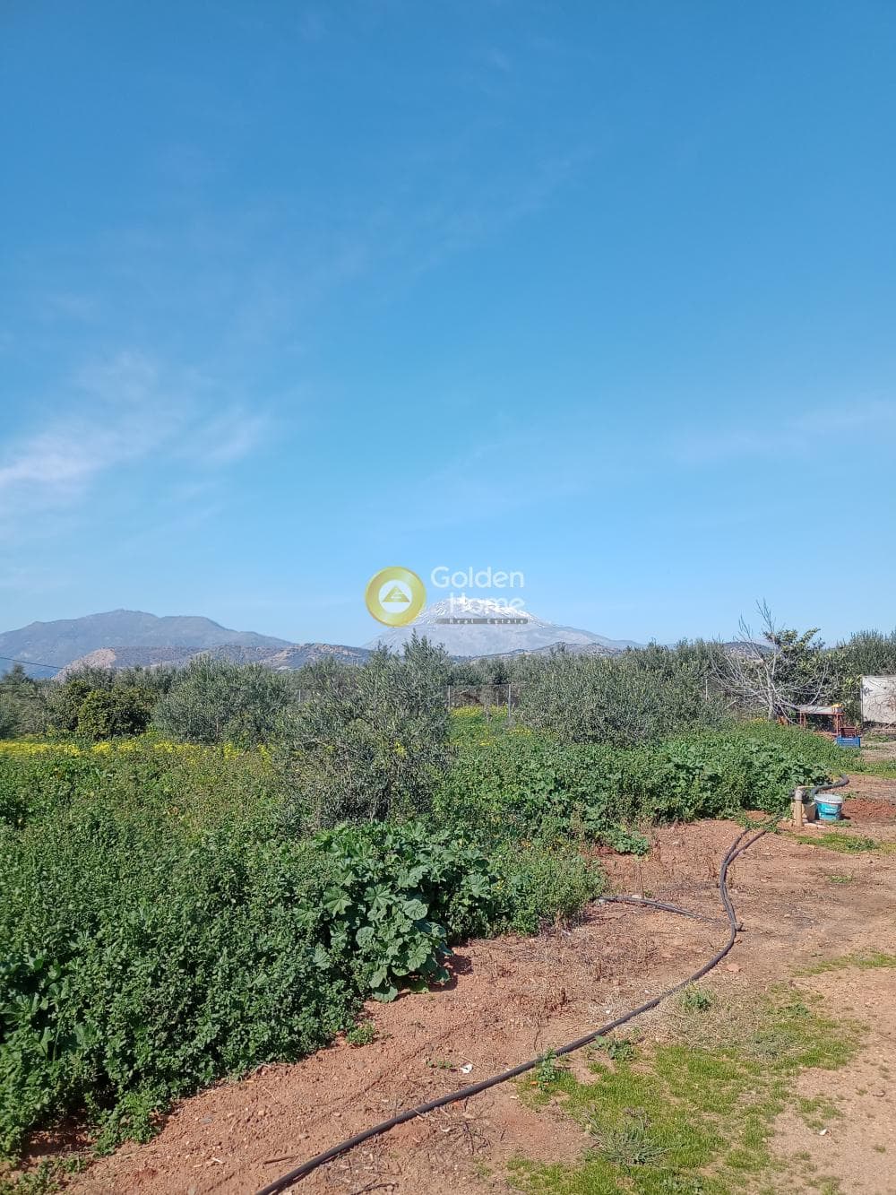 Αγροτεμάχιο στην Κόκκινος Πύργος, Τυμπάκι — Φωτογραφία 2 από 3