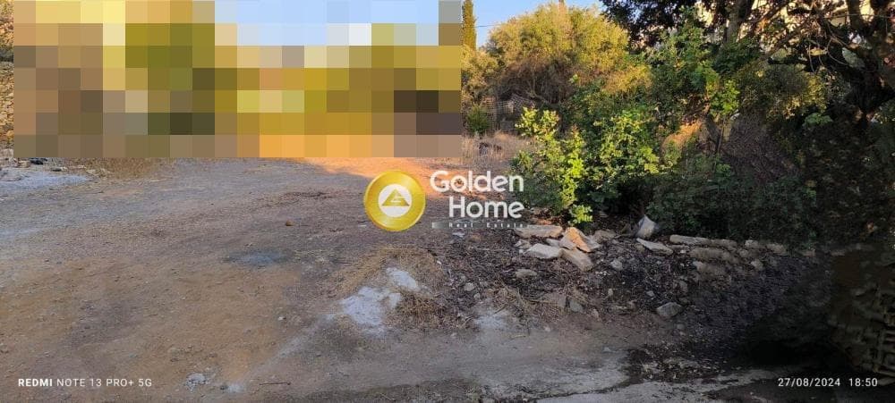 Οικόπεδο στην Ανάληψη, Γούβες
