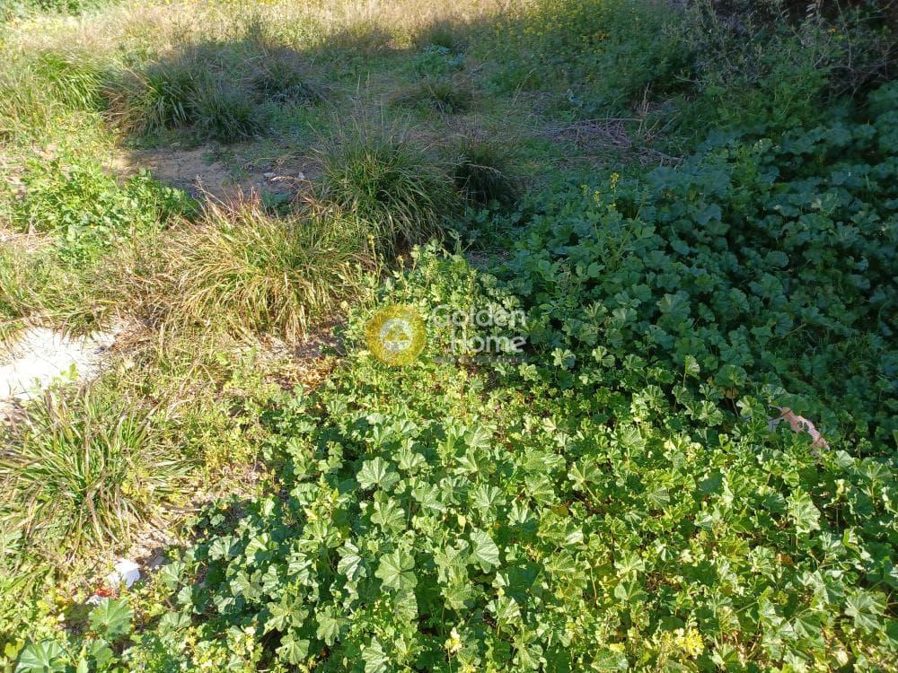 Οικόπεδο στην Δασαμάρι, Πικέρμι — Φωτογραφία 3 από 3