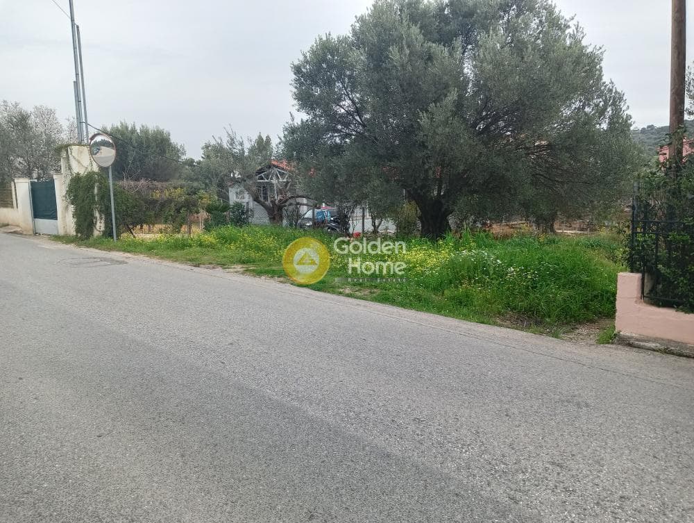 Αγροτεμάχιο στην Αγία Μαρίνα, Παιανία — Φωτογραφία 3 από 7
