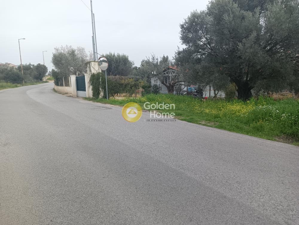 Αγροτεμάχιο στην Αγία Μαρίνα, Παιανία — Φωτογραφία 4 από 7