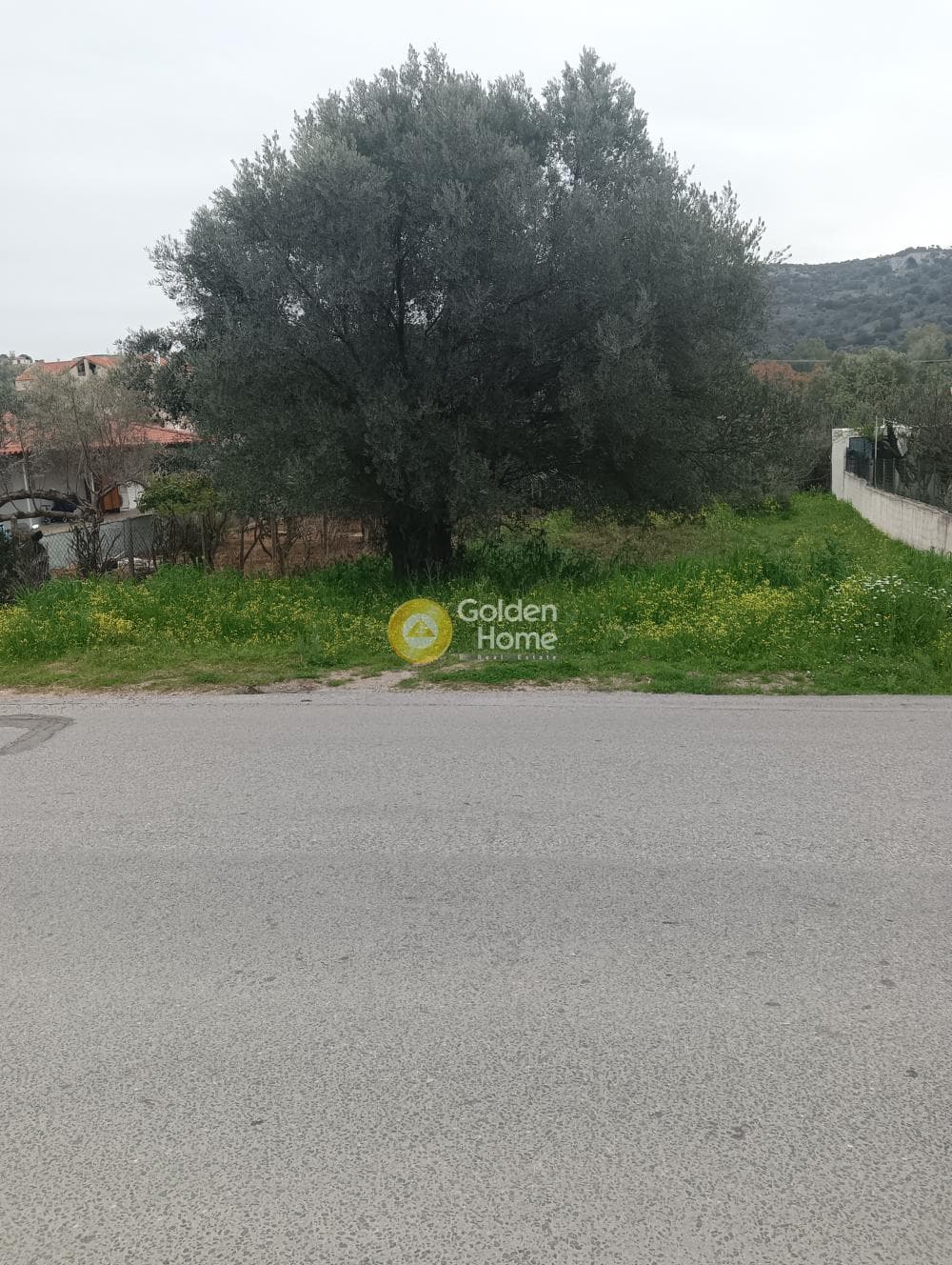 Αγροτεμάχιο στην Αγία Μαρίνα, Παιανία — Φωτογραφία 2 από 7