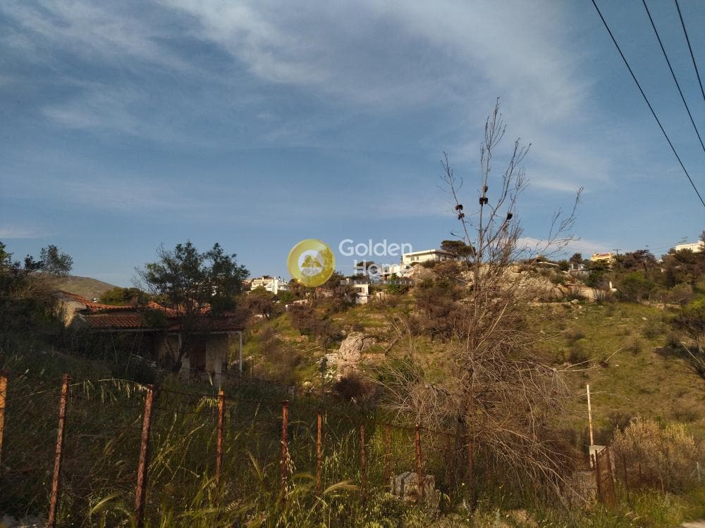 Αγροτεμάχιο στην Κέντρο, Γέρακας — Φωτογραφία 3 από 6