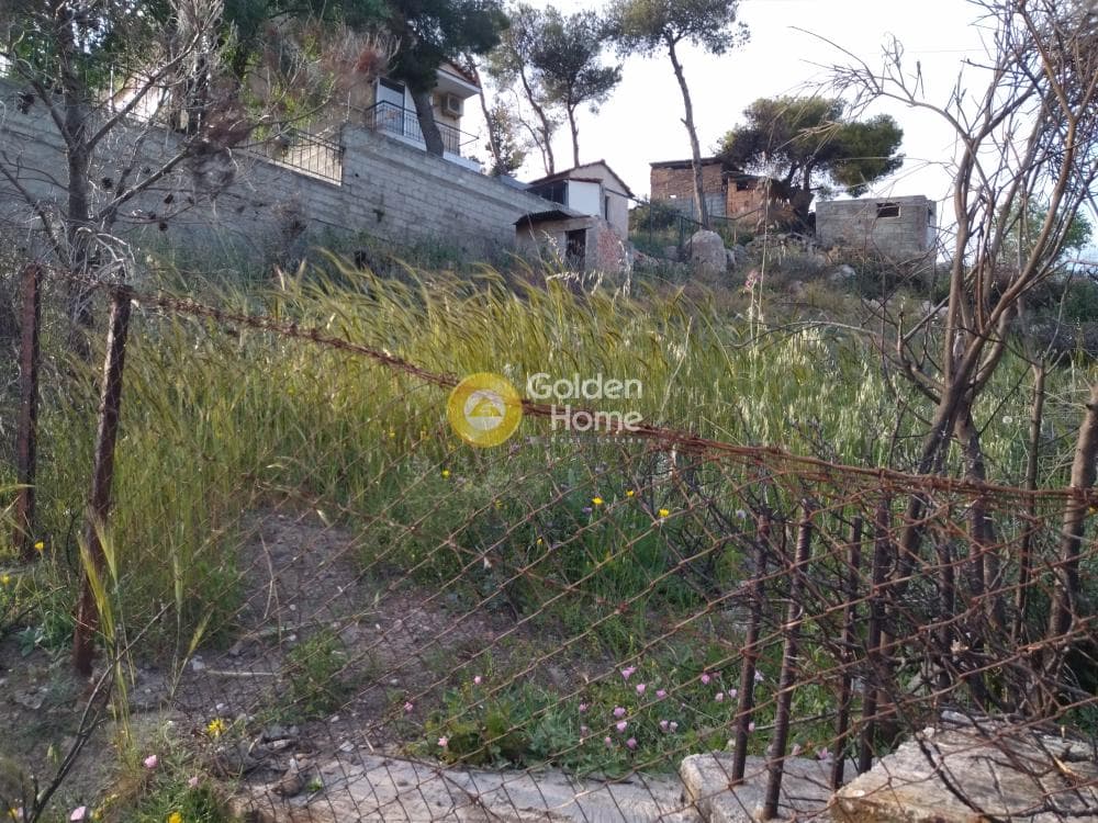 Αγροτεμάχιο στην Κέντρο, Γέρακας — Φωτογραφία 4 από 6