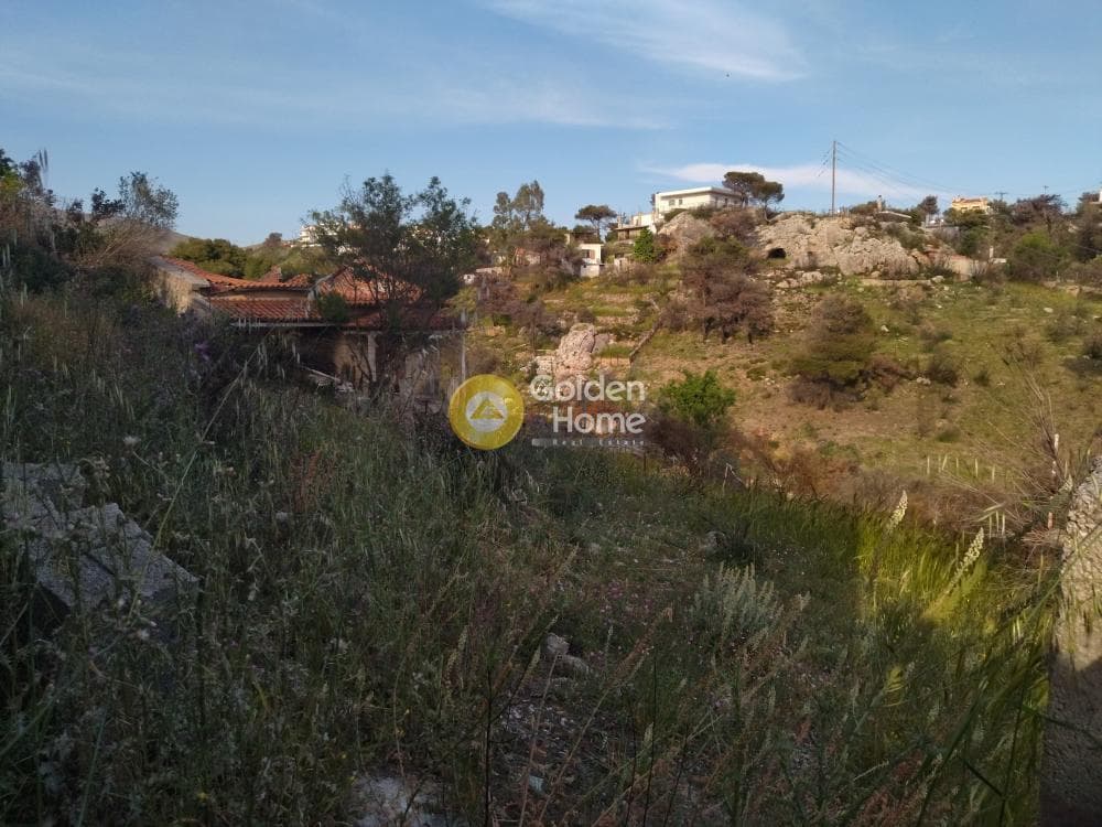 Αγροτεμάχιο στην Κέντρο, Γέρακας — Φωτογραφία 6 από 6