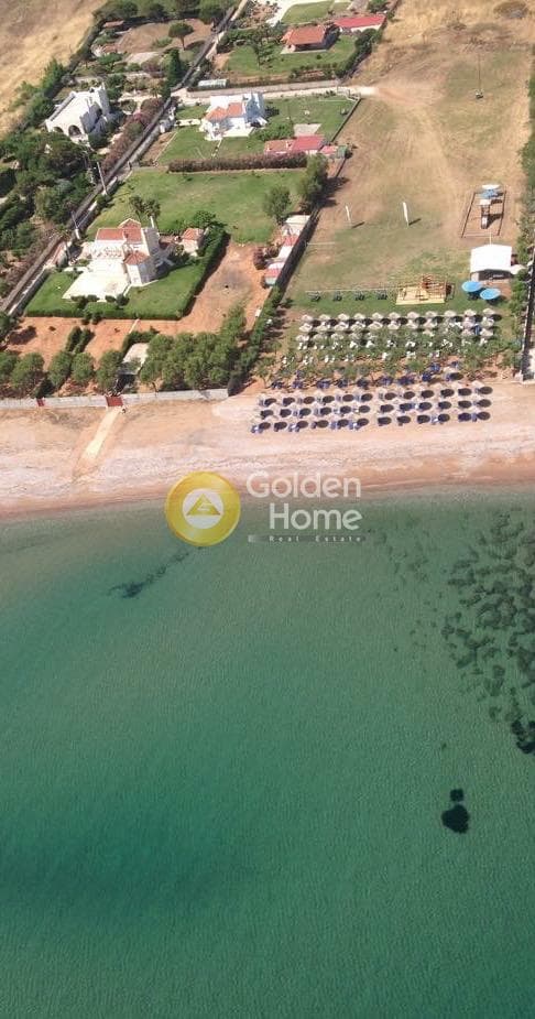 House in Ioniki Akti, Larissos — Photo 18 of 18