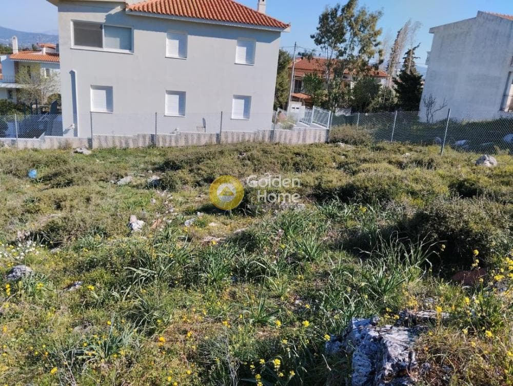 Building Plot in Efxinos Pontos, Stamata — Photo 4 of 7