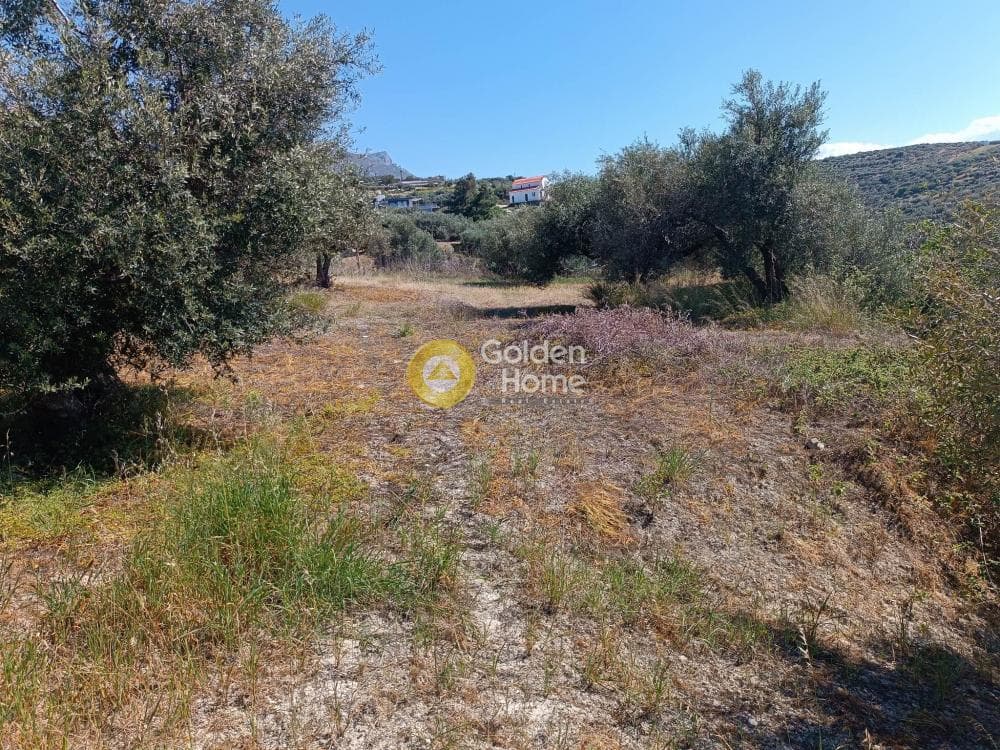 Οικόπεδο στην Βασιλείες, Αρχάνες — Φωτογραφία 2 από 8