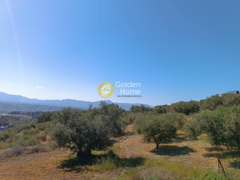 Οικόπεδο στην Βασιλείες, Αρχάνες — Φωτογραφία 3 από 8