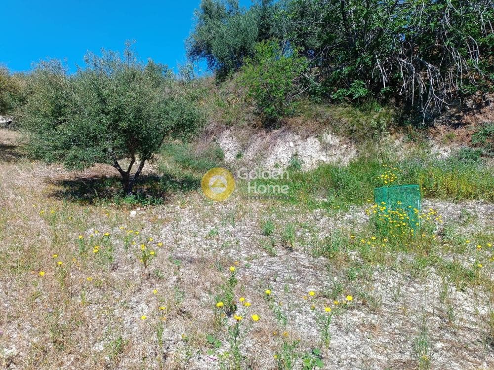 Οικόπεδο στην Βασιλείες, Αρχάνες — Φωτογραφία 7 από 8