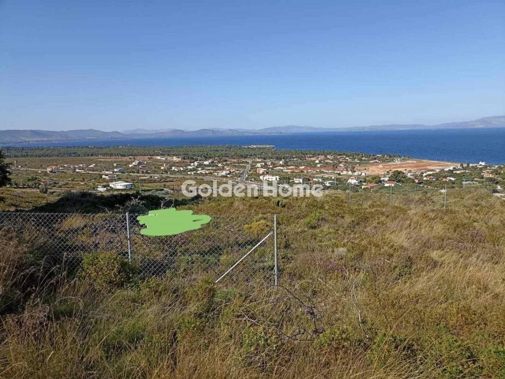 Building Plot in Neos Voutzas, Rafina — Photo 3 of 3