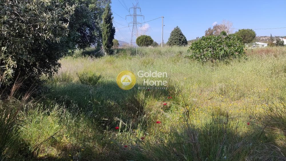 Οικόπεδο στην Μεγάλα Σχοινία Α, Αχαρνές — Φωτογραφία 5 από 9