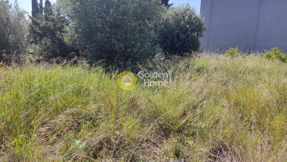 Οικόπεδο στην Μεγάλα Σχοινία Α, Αχαρνές — Φωτογραφία 6 από 9