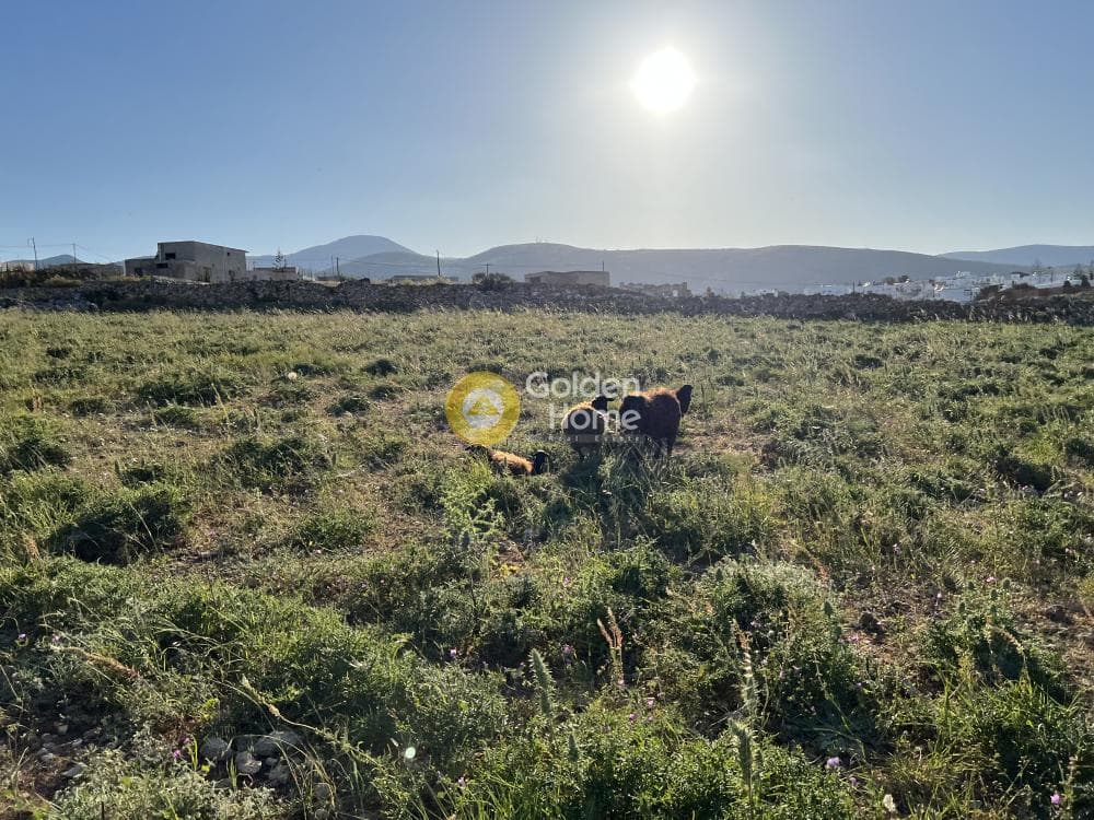 Building Plot in Marmara, Paros