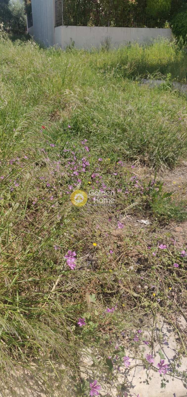 Building Plot in Center, Gerakas — Photo 5 of 10
