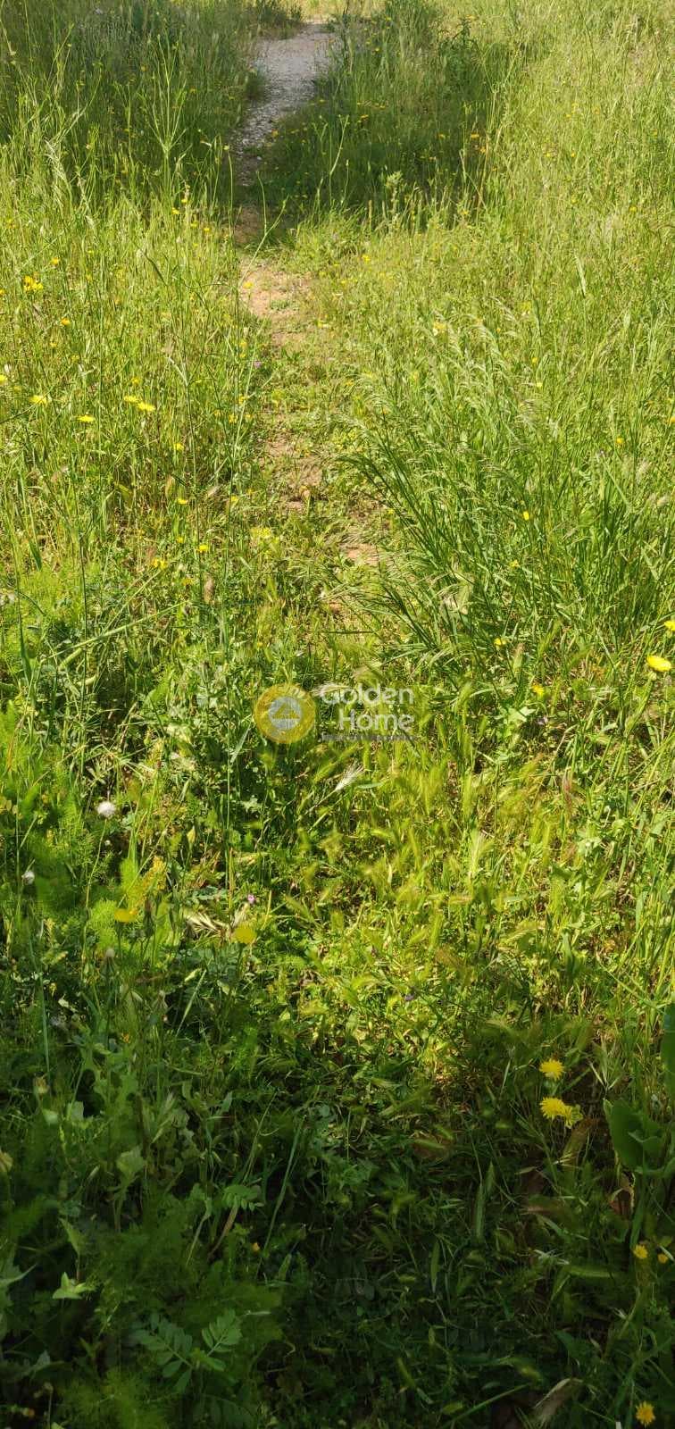 Building Plot in Center, Gerakas — Photo 3 of 10