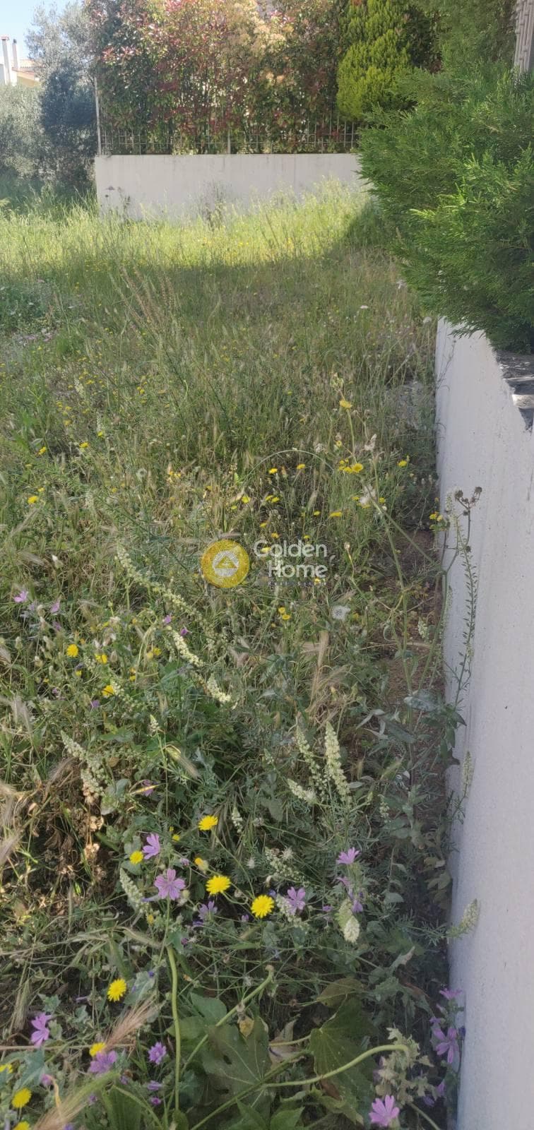 Building Plot in Center, Gerakas — Photo 7 of 10
