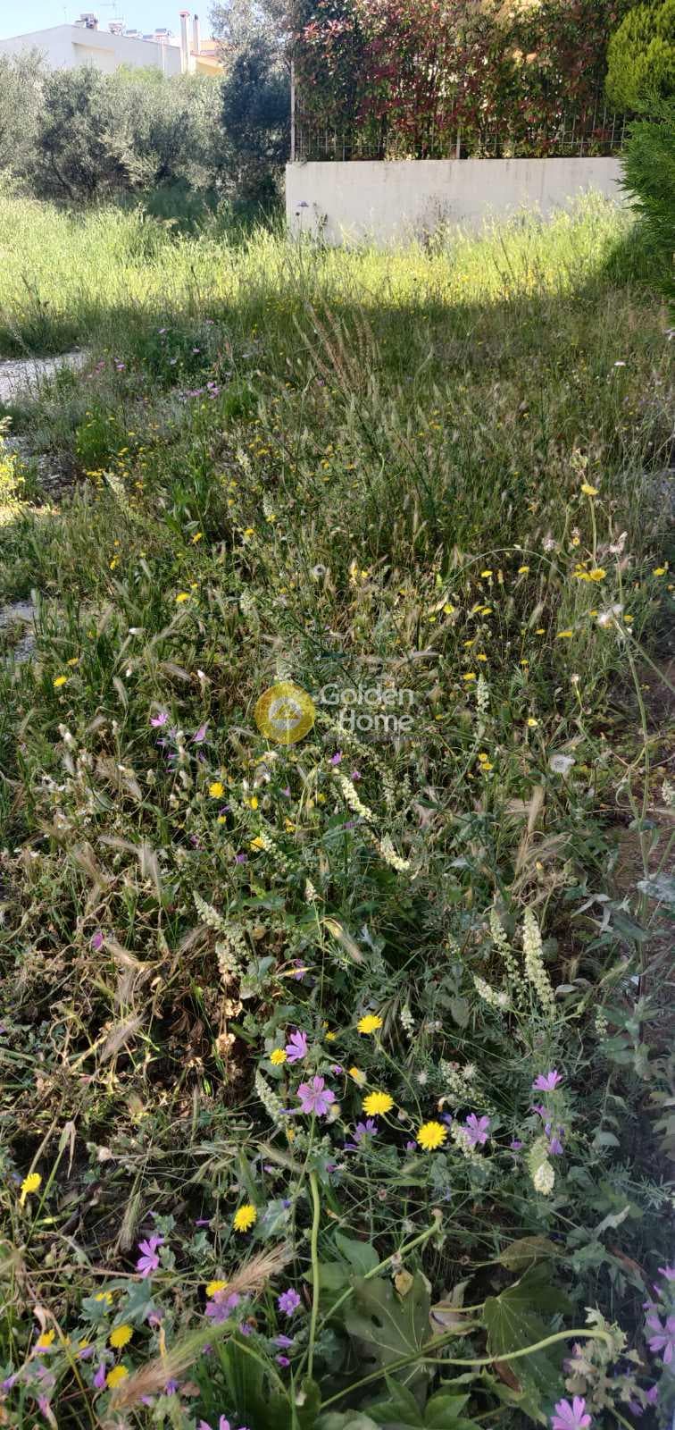 Building Plot in Center, Gerakas — Photo 8 of 10