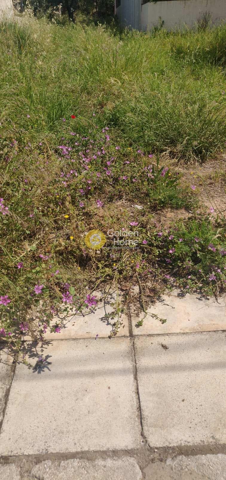 Building Plot in Center, Gerakas — Photo 9 of 10