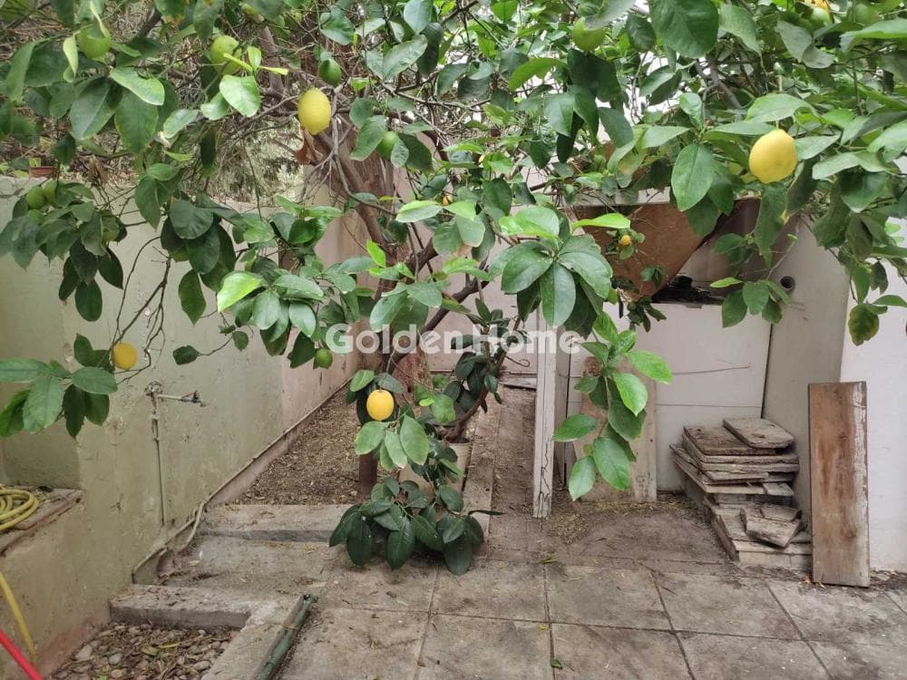 Building Plot in Panorama, Dafni — Photo 11 of 13