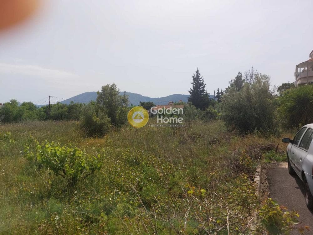 Οικόπεδο στην Άνω Μπαλάνα, Παλλήνη — Φωτογραφία 3 από 5