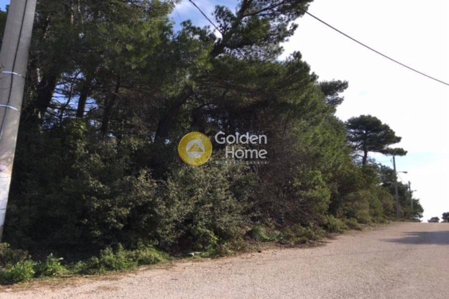 Building Plot in Avgi, Afidnes — Photo 1 of 3