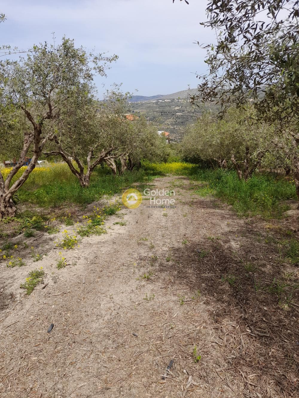 Building Plot in Mirtia, Episkopi — Photo 1 of 3