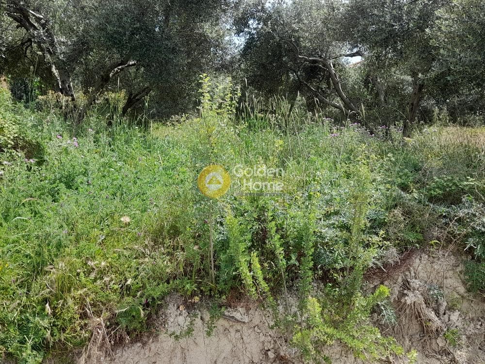 Building Plot in Mirtia, Episkopi — Photo 1 of 4