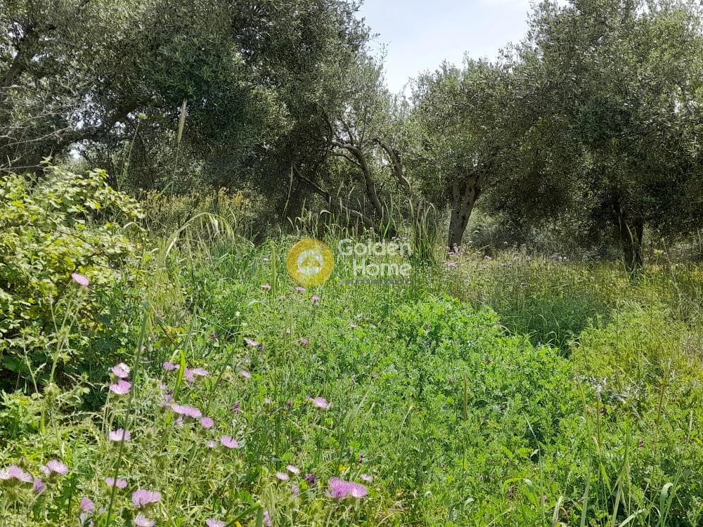 Building Plot in Mirtia, Episkopi — Photo 2 of 4