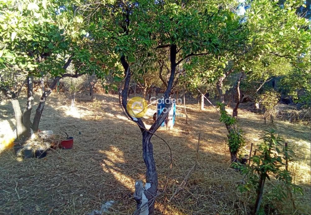 Μονοκατοικία στην Πόλη Χίου, Χίος — Φωτογραφία 10 από 11
