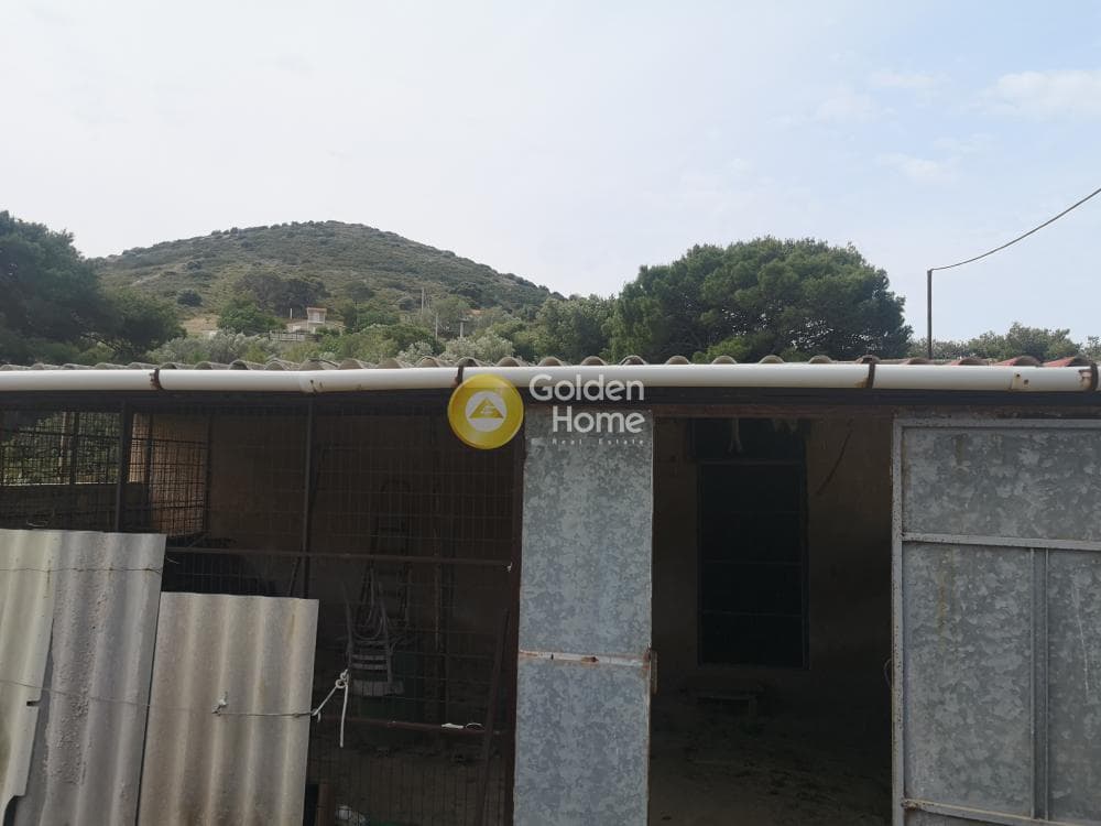 Αγροτεμάχιο στην Αρί, Ανάβυσσος — Φωτογραφία 9 από 10