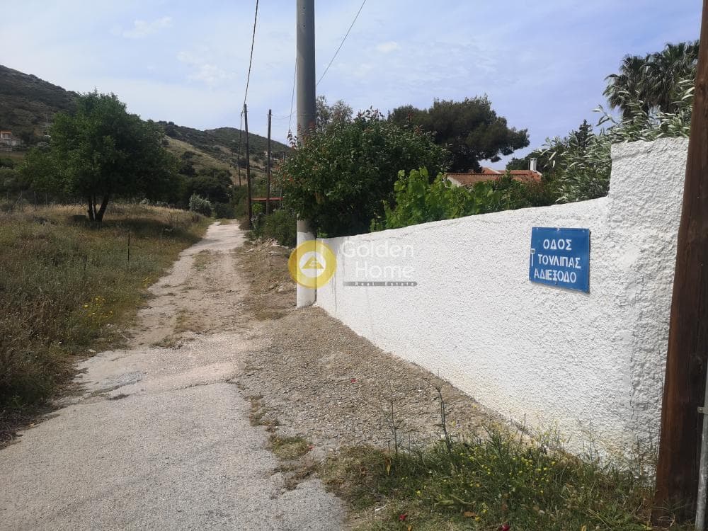 Αγροτεμάχιο στην Αρί, Ανάβυσσος — Φωτογραφία 6 από 10