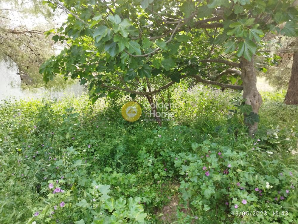 Building Plot in Zirineio, Kifisia — Photo 4 of 16