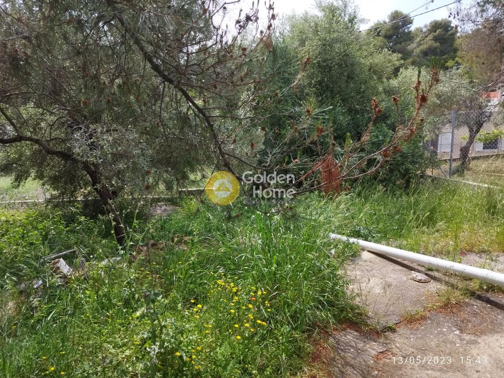 Building Plot in Zirineio, Kifisia — Photo 5 of 16